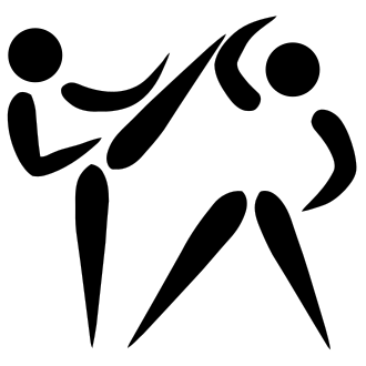 taekwondo (태권도)